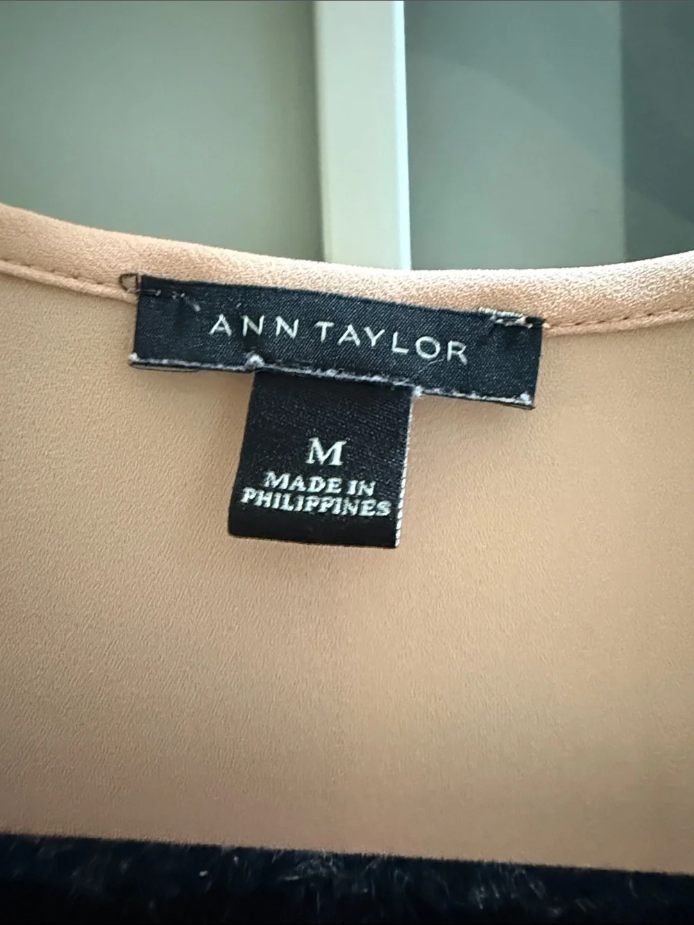Ann Taylor Blush Pleated V-Neck Flutter Sleeve Blouse